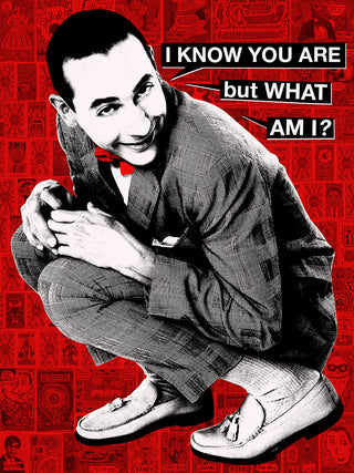 I KNOW YOU ARE but WHAT AM I? -Janette Beckman and Rob Jones