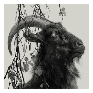 Black and white drawing of a goat with long horns and flowing hair, surrounded by branches and leaves.