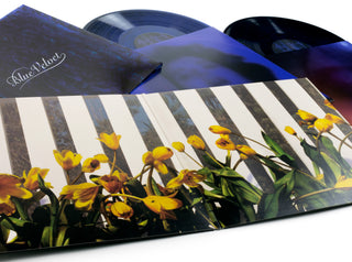 Blue Velvet - Original Motion Picture Soundtrack