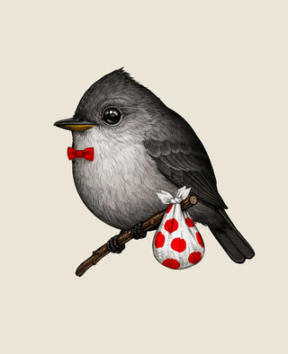 Eastern Wood Peewee-Mike Mitchell